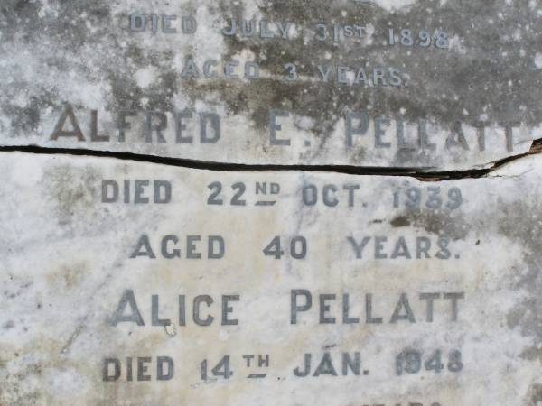 Harold PELLATT, husband,  | died 5 June 1918 aged 53 years;  | Alice, daughter,  | died 31 July 1898 aged 3 years;  | Alfred E. PELLATT,  | died 22 Oct 1939 aged 40 years;  | Alice PELLATT,  | died 14 Jan 1948 aged 82 years;  | Brookfield Cemetery, Brisbane  |   | 