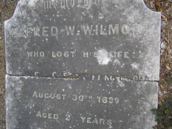 Alfred W. WILMOTT,  | died Moggill Creek, Rafting Ground,  | 30 Aug 1899 aged 21 years;  | Brookfield Cemetery, Brisbane  | 