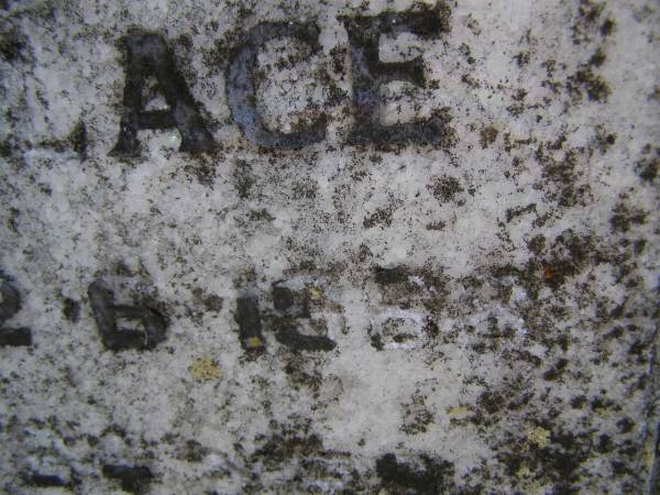 Cornelius Leopold WALLACE, husband,  | died 18-3-1962 aged 58 years;  | Edith WALLACE, wife,  | died 12-6-1968 aged 64 years;  | Brookfield Cemetery, Brisbane  | 