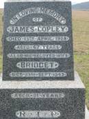 James COPLEY,
died 13 April 1928 aged 67 years;
Bridget, wife,
died 23 Sept 1943 aged 81 years;
Bryden (formerly Deep Creek) Catholic cemetery, Esk Shire