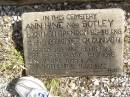 
(mother)
Charlotte HALL
d: 8 Jul 1935, aged 84
(father)
Henry HALL
d: 11 Dec 1895, aged 42

Ann HINE (nee BOTLEY)
b: 22 Nov 1811 Grendon BShire, Eng
d: 16 Aug 1899 Kipper Ck, Dundas, Q
Married Job HINE c1838 Eng

Henry HINE b: 1849, d: 1876
Charlotte HINE b: 1850, d 1872
                                         (RJB)
Fairview Cemetery, Bryden, Somerset Region, Queensland

