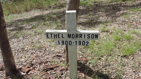 Ethel MORRISON  | b: 1900  | d: 1902  | Bunya cemetery, Pine Rivers  | 