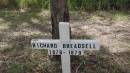 
Richard BREADSELL
b: 1878
d: 1879
Bunya cemetery, Pine Rivers
