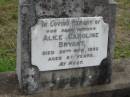 Alice Caroline BRYANT,
mother,
died 20 Nov 1952 aged 87 years;
Caboonbah Church Cemetery, Esk Shire