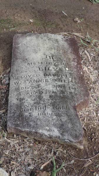 Lily (WILLIAMS)  | d: 10 Jun 1860? aged 15 mo  | daughter of Wm and Annie WILLIAMS  |   | Cawarral Cemetery  |   | 