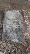 
Lily (WILLIAMS)
d: 10 Jun 1860? aged 15 mo
daughter of Wm and Annie WILLIAMS

Cawarral Cemetery

