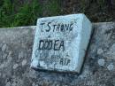 T. Strong
Dodea RIP;
Sacred Heart Catholic Church, Christmas Creek, Beaudesert Shire