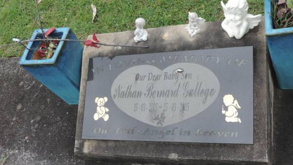 Nathan Bernard GALLEGO  | b: 15 Mar 2005  | d: 25 Mar 2005  |   | Cooloola Coast Cemetery  |   | 