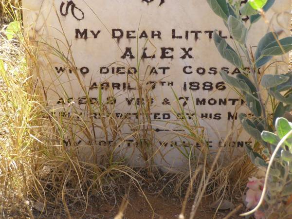 Alexander William PEAD  | d: 5 Jun 1884 aged 39 years and 6 months at Cossack  |   | also 3 children who died in infancy  |   | Alex  | d: 7 Apr 1886, aged 9 years and 7 months at Cossack  |   | William A PEAD  | b: 23 Jul 1872  | d: 11 Nov 1873  | Alexander John PEAD  | b: 25 Jan 1874  | d: 10 May 1874  |   |   | Cossack (European and Japanese cemetery), WA  |   | 
