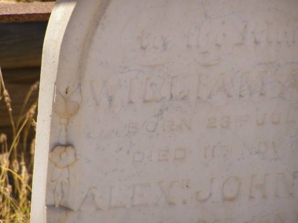 Alexander William PEAD  | d: 5 Jun 1884 aged 39 years and 6 months at Cossack  |   | also 3 children who died in infancy  |   | Alex  | d: 7 Apr 1886, aged 9 years and 7 months at Cossack  |   | William A PEAD  | b: 23 Jul 1872  | d: 11 Nov 1873  | Alexander John PEAD  | b: 25 Jan 1874  | d: 10 May 1874  |   |   | Cossack (European and Japanese cemetery), WA  |   | 
