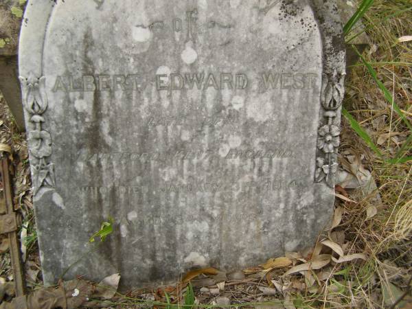 Albert Edward WEST,  | late of Dartford Kent England,  | died 31 Jan 1914 aged 34 years;  | Coulson General Cemetery, Scenic Rim Region  | 