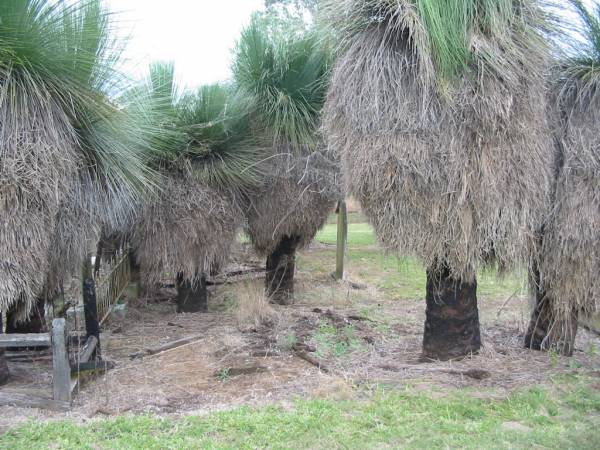 Coulson General Cemetery, Scenic Rim Region  | 
