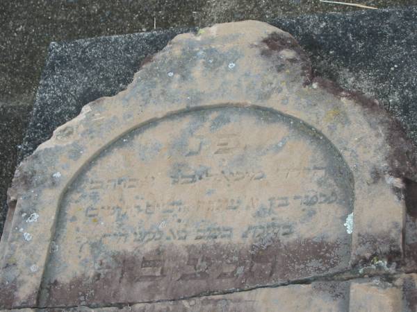 Arthur Michael Robert,  | son of Adolph & Fanny BLUMBERG,  | born 29 May 1896,  | died 6 Feb 1896;  | Adolph BLUMBERG,  | died 6 Sept 1902 aged 42 years,  | erected by wife & children;  | Coulson General Cemetery, Scenic Rim Region  | 