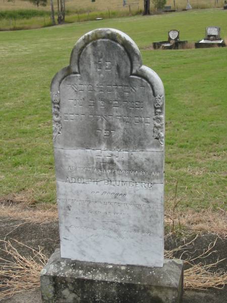Arthur Michael Robert,  | son of Adolph & Fanny BLUMBERG,  | born 29 May 1896,  | died 6 Feb 1896;  | Adolph BLUMBERG,  | died 6 Sept 1902 aged 42 years,  | erected by wife & children;  | Coulson General Cemetery, Scenic Rim Region  | 
