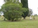 Coulson General Cemetery, Scenic Rim Region