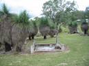 Coulson General Cemetery, Scenic Rim Region