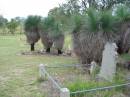 Coulson General Cemetery, Scenic Rim Region