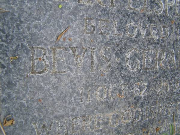Mary Elizabeth McCONNEL  | b: 24 Mar 1855  | d: 17 Nov 1941  | eldest daughter of William and Martha KENT  |   | James Henry McCONNEL  | b: 18 Apr 1850  | d: 7 Jun 1914  | eldest son of David CANNON and Mary Macleod McCONNEL  |   | Ursula Hope McCONNEL  | b: 27 Oct 1888  | d:  6 Nov 1957  |   | Katharine Macleod McCONNEL  | b: 11 May 1886  | d: 20 Aug 1946  |   | Mary Elspeth WHITE  | b: 11 Oct 82  | d: 25 Mar 56  | wife of Bevis Gerald WHITE  |   | Cressbrook Homestead, Somerset Region  |   | 
