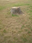 Cressbrook Homestead, Somerset Region