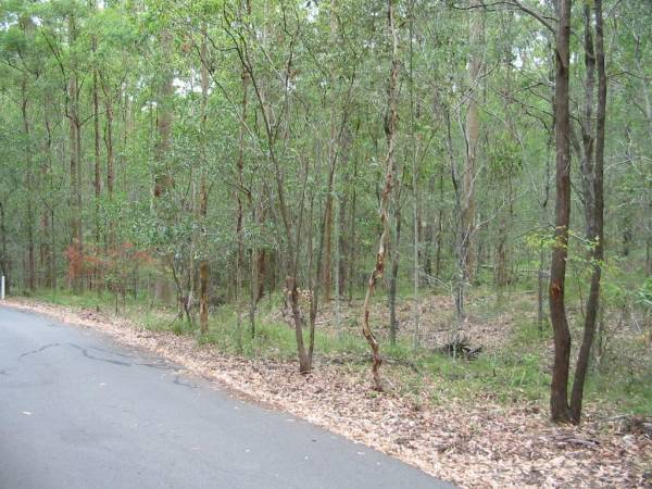 Dennis Family Cemetery, Daisy Hill, Logan City  | 