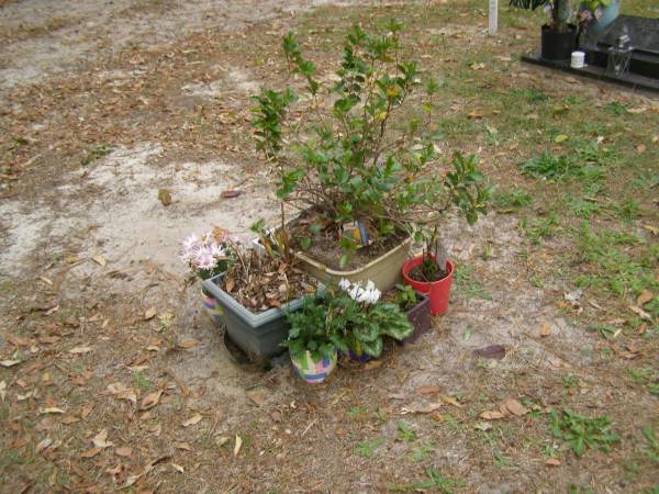   | Diddillibah Cemetery, Maroochy Shire  |   | 