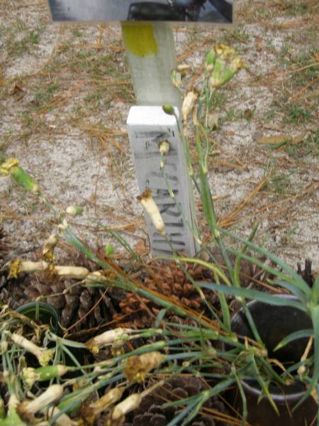 Paul McARTHY  |   | Diddillibah Cemetery, Maroochy Shire  |   | 