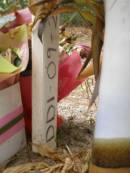 
Kathryn? CROCKER?

it would have been the big 60 today
missing you Neil?
22510

DDI-09-2?

Diddillibah Cemetery, Maroochy Shire

