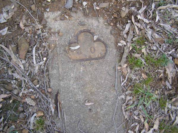Douglas Catholic cemetery, Crows Nest Shire  | 