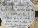 Lester Richard HARTWIG,
born 8 Oct 1941 died 9 Dec 1941;
Douglas Lutheran cemetery, Crows Nest Shire