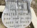 Walter HARTWIG,
died 31 July 1938 aged 12 weeks;
Douglas Lutheran cemetery, Crows Nest Shire