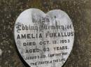 Amelia PUKALLUS,
died 12 Oct 1953 aged 63 years;
Douglas Lutheran cemetery, Crows Nest Shire