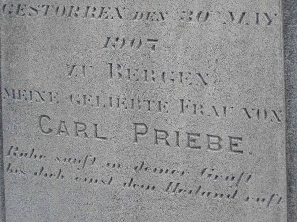 Wilhelmine PRIEBE (nee BRUNWALD),  | born 26 Sept 1870 Prussia,  | died 30 May 1907 Bergen,  | wife of Carl PRIEBE;  | Douglas Lutheran cemetery, Crows Nest Shire  | 