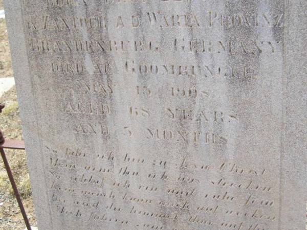 Christian Friedrich SCHMALING,  | husband of Johanna SCHMALING,  | born 22 Dec 1840  | in Zantoch A.D. Warta Provinz Brandenburg Germany,  | died Goombungee 13 May 1908 aged 68 years 5 months;  | Douglas Lutheran cemetery, Crows Nest Shire  | 