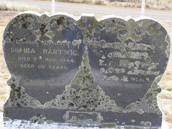 Sophia HARTWIG,  | died 9 Nov 1944 aged 65 years;  | Johannes C.F. HARTWIG,  | died 3 ??? ??? aged 6? years;  | Douglas Lutheran cemetery, Crows Nest Shire  | 