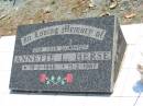 Annette L HERSE
b: 18 Feb 1946, d: 11 Feb 1967
Eagleby Cemetery, Gold Coast City