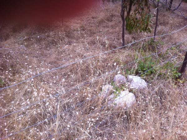 Emu Bay Historic Cemetery  | 