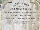 
Joachin EHRICH, husband,
born Holstein 10 Jan 1824
died 14 Mar 1908 aged 84 years 2 months,
farewell wife children;
Fernvale General Cemetery, Esk Shire
