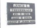 
Joyce L. THEUERKAUF,
died 24-5-1956 aged 9 days;
Fernvale General Cemetery, Esk Shire
