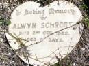 Alwyn SCHRODER,
died 2 Dec 1929 aged 11? days;
Forest Hill Cemetery, Laidley Shire