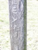 Andrew HAYLEY,
1936 ?? 17;
Forest Hill Cemetery, Laidley Shire