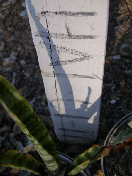 TAYLER, HAI-01-11;  | Gheerulla cemetery, Maroochy Shire  | 