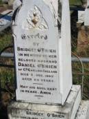 
Daniel OBRIEN, of County Carlow, Ireland, died 3 Dec 1903 aged 64 years, husband, erected by Bridget OBRIEN;
Bridget OBRIEN, died 18 Nov 1926 aged 92 years;
Catherine OBRIEN, died 17 May 1953 aged 82 years;
Stephen OBRIEN, died 1-3-1933;
Catherine Louisa OBRIEN, died 28-7-1949;
parents of Daniel Joseph OBRIEN, grandparents of Mary, Stephen, Carmel, John, Paul;
Glamorgan Vale Cemetery, Esk Shire
