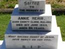 Annie HEHIR,
born County Clare Ireland,
died 18 June 1949 aged 94 years;
Gleneagle Catholic cemetery, Beaudesert Shire