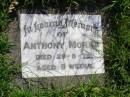 Anthony MORAN,
died 29-8-75 aged 9 weeks;
Gleneagle Catholic cemetery, Beaudesert Shire