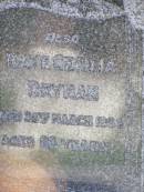 James DRYNAN, husband father,
died 16 July 1953 aged 82 years;
Kate Cecilia DRYNAN,
died 28 March 1954 aged 83 years;
Gleneagle Catholic cemetery, Beaudesert Shire