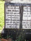 Ann HEALY,
died 27 Nov 1943 aged 79 years;
Mary Ellen GALE, daughter,
died 22 Nov 1920 aged 25 years;
Michael HEALY,
died 8 Feb 1946 aged 83 years;
Anastasia OBRIEN,
died 12 Aug 1962 aged 75 years;
Gleneagle Catholic cemetery, Beaudesert Shire