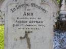 Ann, wife of Andrew DRYNAN,
died 11 Jan 1900 aged 58 years;
Gleneagle Catholic cemetery, Beaudesert Shire