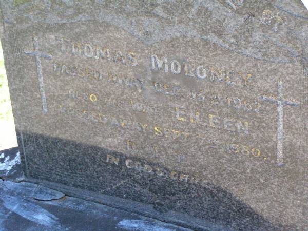Thomas MOLONEY,  | died 14 Dec 1967;  | Eileen, wife,  | died 7 Sept 1980;  | Gleneagle Catholic cemetery, Beaudesert Shire  | 
