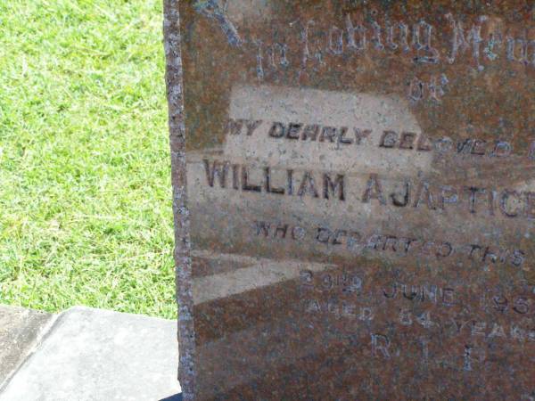 William Ajaptice SHAY, father,  | died 23 June 1953 aged 34 years;  | Gleneagle Catholic cemetery, Beaudesert Shire  | 