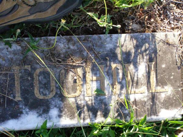 Daniel TOOHILL,  | died 8 Dec 1935 aged 79 years;  | Susan, wife,  | died 27 March 1938 aged 81 years;  | Gleneagle Catholic cemetery, Beaudesert Shire  | 